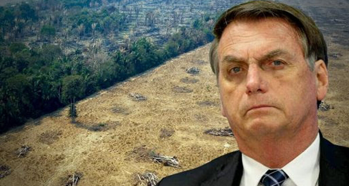 Jair Bolsonaro: desastre ambiental con patas