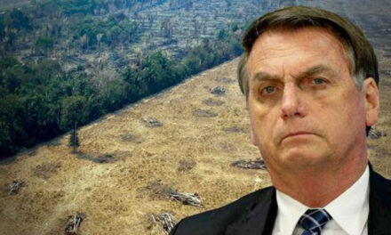 Jair Bolsonaro: desastre ambiental con patas