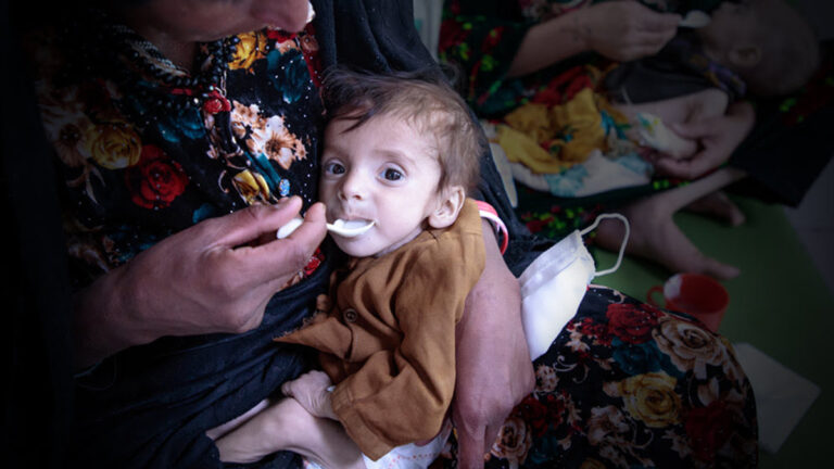 Avaaz abre campaña «SOS Afganistán»