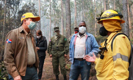 Controlan incendios en Sierra de Bahoruco