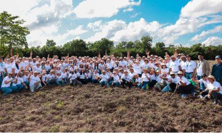 Grupo SID reforesta con éxito en República Dominicana