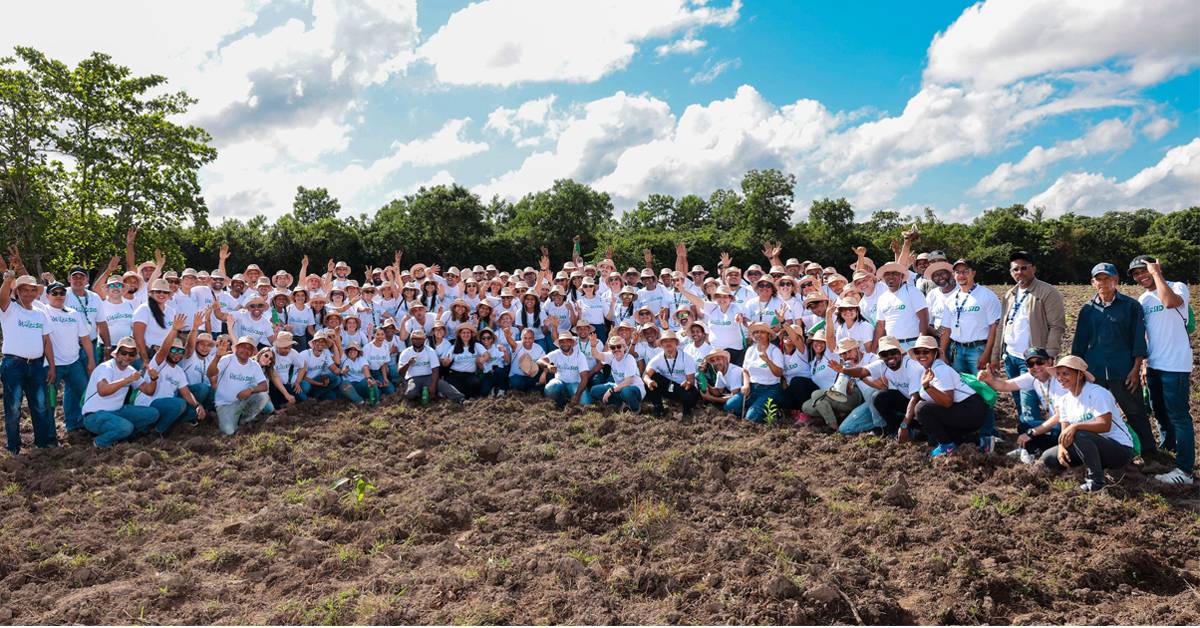 Grupo SID reforesta con éxito en República Dominicana