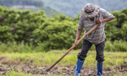 Las cabañuelas: la tradición de predecir el tiempo