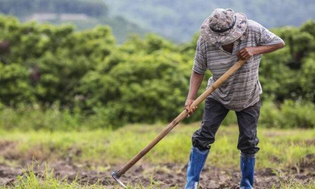 Las cabañuelas: la tradición de predecir el tiempo