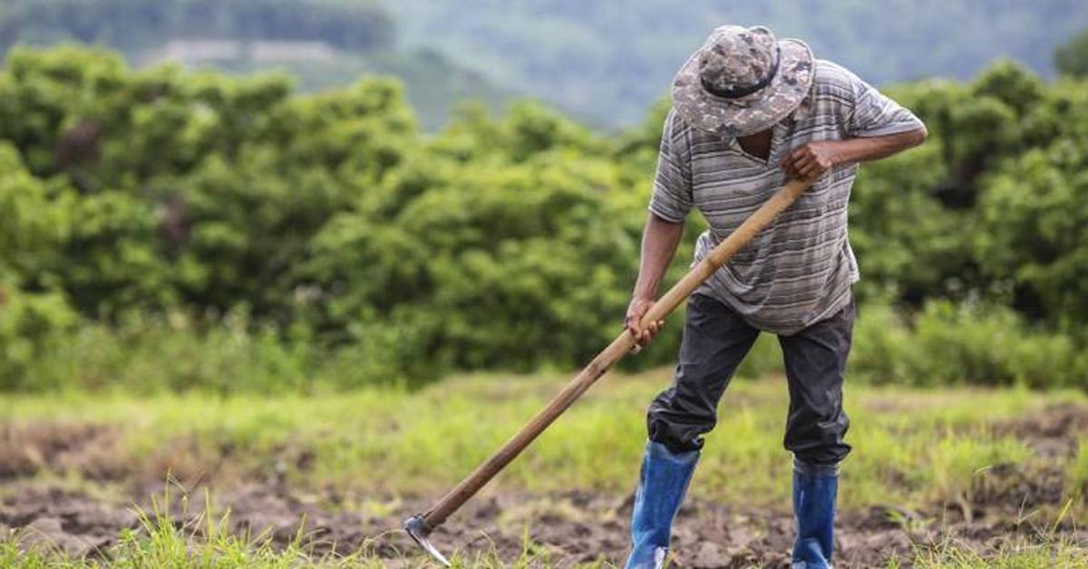 Las cabañuelas: la tradición de predecir el tiempo