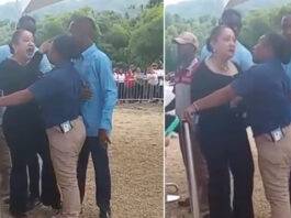La diputada Fiordaliza Estévez