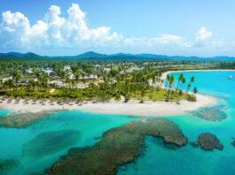 Colección Tropicalia abre primera convocatoria artística del Caribe convocatoria artística del Caribe