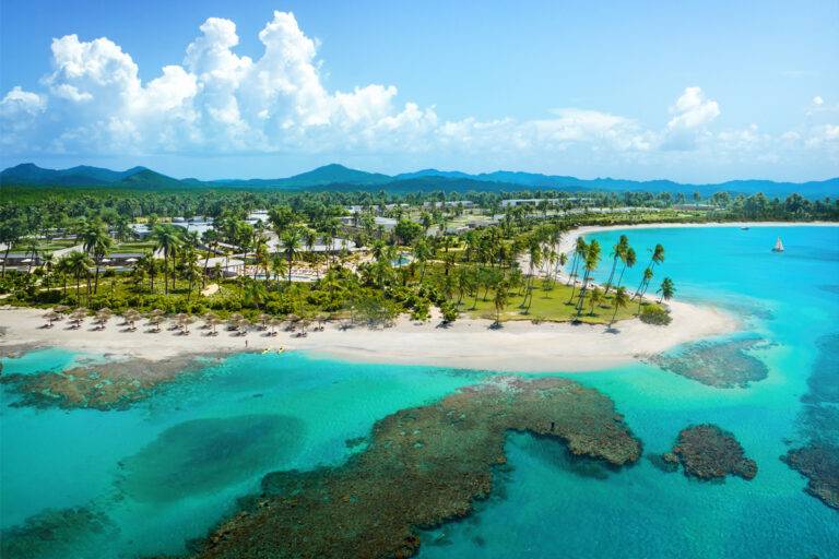 convocatoria artística del Caribe