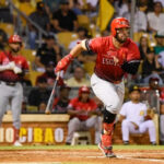 victoria de los Leones