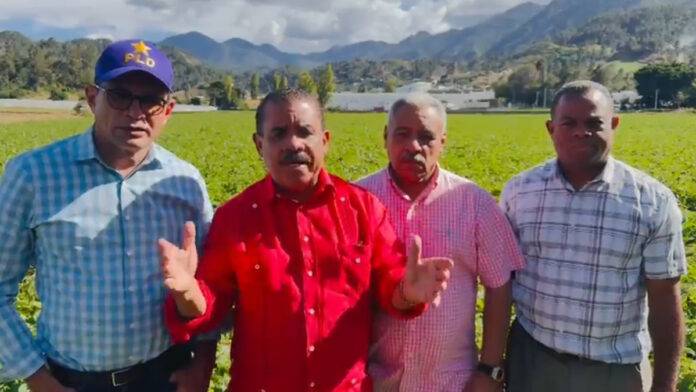 crisis del ajo en Constanza