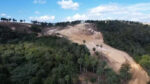 tala en Santo Cerro