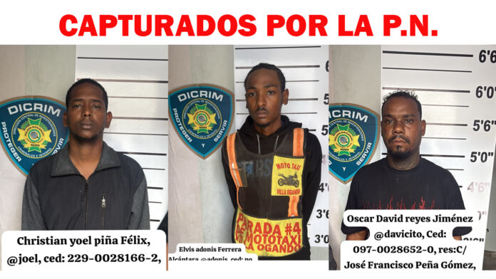 seguridad ciudadana