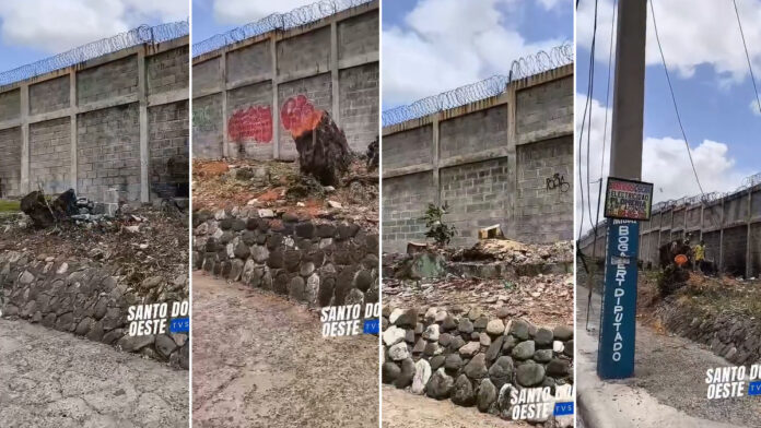 crimen ecológico