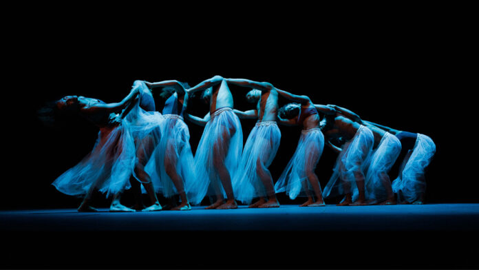 danza contemporánea